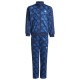 Adidas Παιδικές φόρμες σετ Firebird Monogram Allover Printed Tracksuit